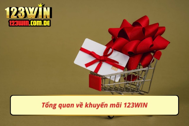 Thông tin chung về khuyến mãi tại nhà cái 123WIN