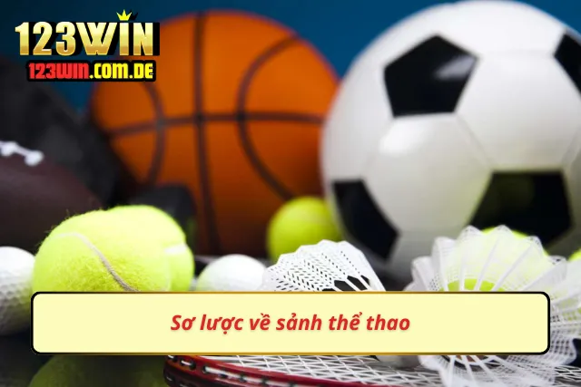 Những điều cơ bản về sảnh thể thao 