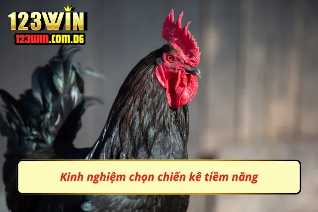 Luôn là bước khởi động của các cao thủ